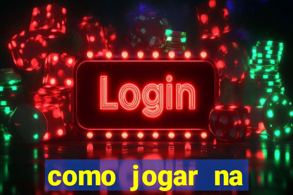 como jogar na teimosinha da lotofacil