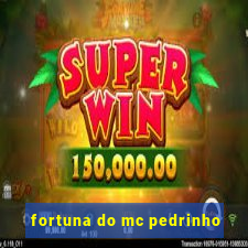 fortuna do mc pedrinho