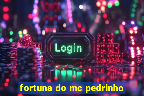 fortuna do mc pedrinho