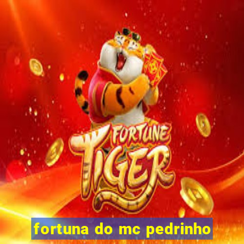 fortuna do mc pedrinho