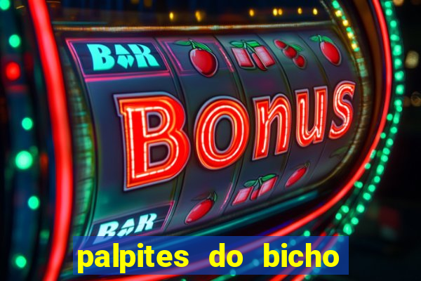 palpites do bicho no celular