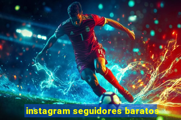 instagram seguidores baratos