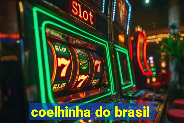 coelhinha do brasil