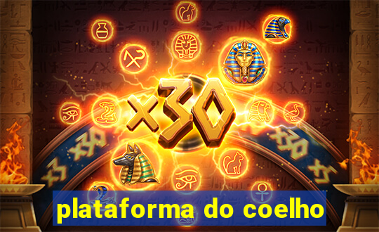 plataforma do coelho