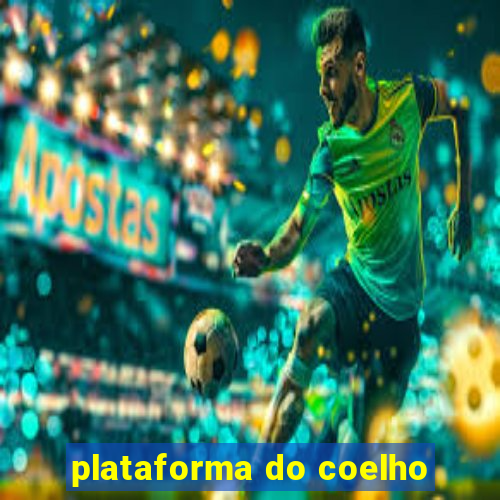 plataforma do coelho