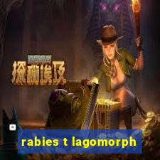 rabies t lagomorph