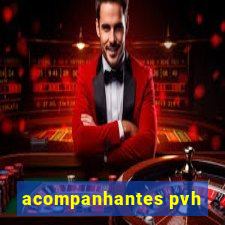 acompanhantes pvh