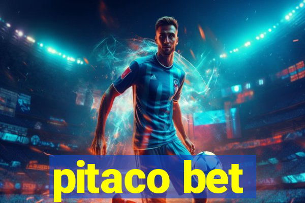 pitaco bet