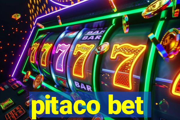 pitaco bet