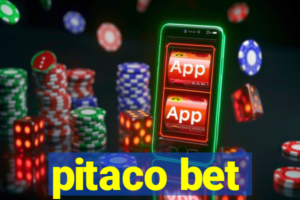 pitaco bet