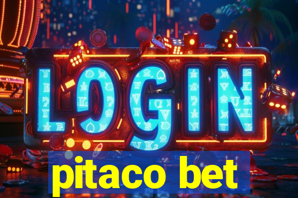 pitaco bet