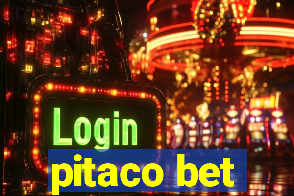 pitaco bet