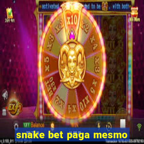 snake bet paga mesmo