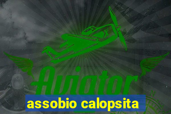 assobio calopsita