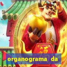 organograma da cacau show