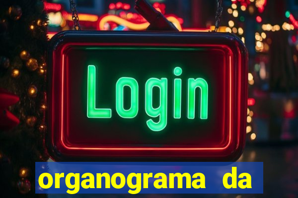 organograma da cacau show