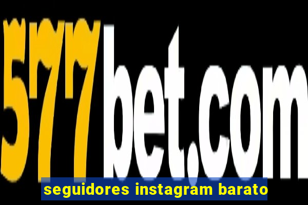 seguidores instagram barato