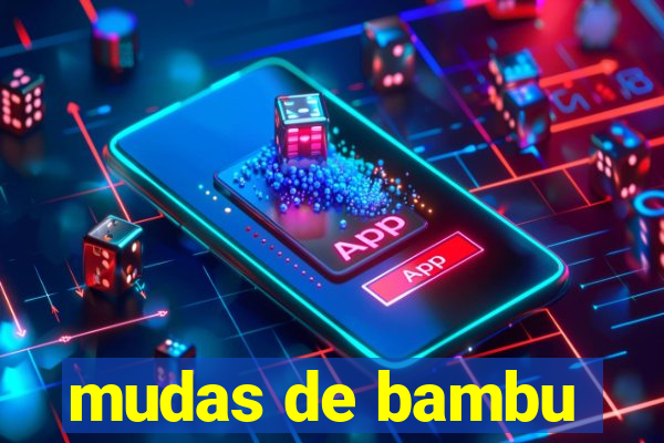 mudas de bambu