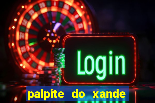 palpite do xande de hoje