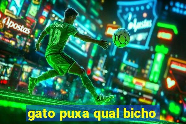 gato puxa qual bicho