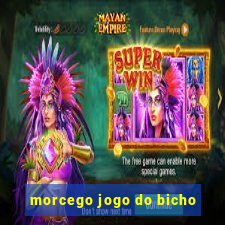 morcego jogo do bicho