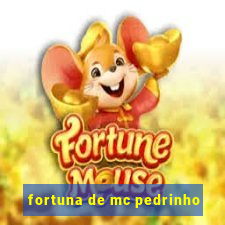 fortuna de mc pedrinho