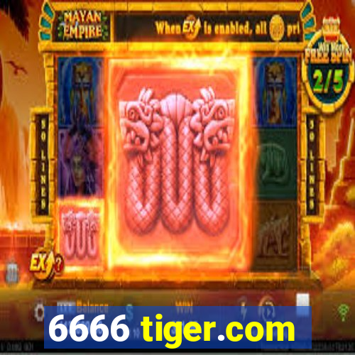 6666 tiger.com