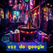 voz do google tradutor homem