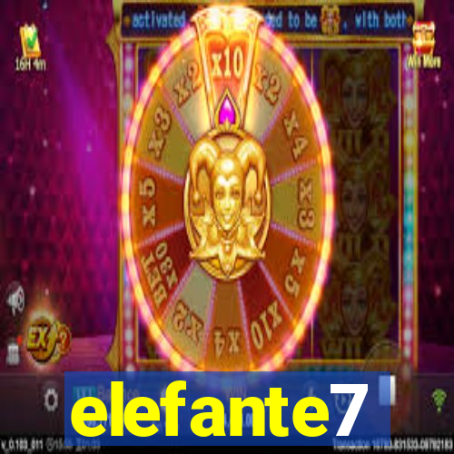 elefante7