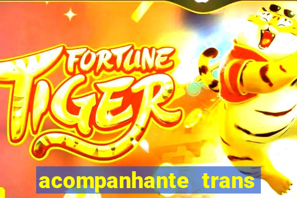 acompanhante trans santos sp