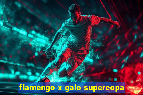 flamengo x galo supercopa