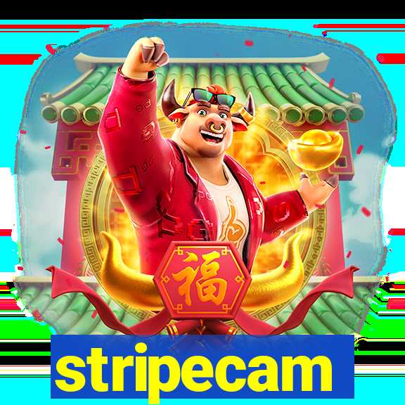 stripecam