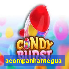 acompanhanteguanambi