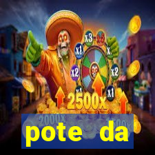 pote da prosperidade riqueza e fortuna 2024