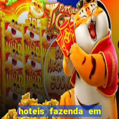 hoteis fazenda em porto velho