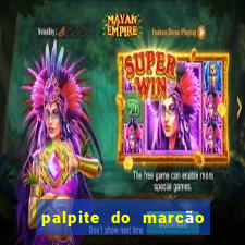 palpite do marcão jogo do bicho