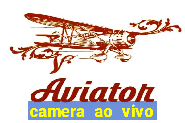 camera ao vivo terminal vila nova cachoeirinha