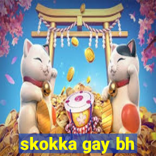 skokka gay bh