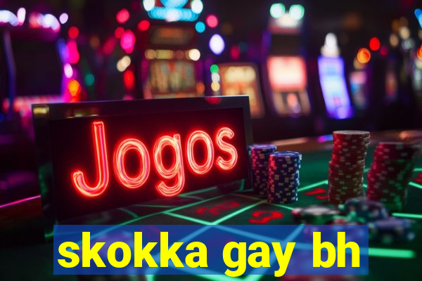 skokka gay bh