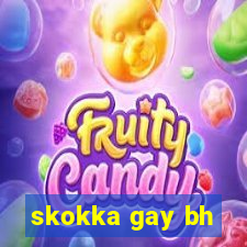 skokka gay bh