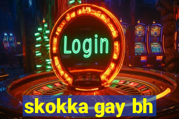 skokka gay bh