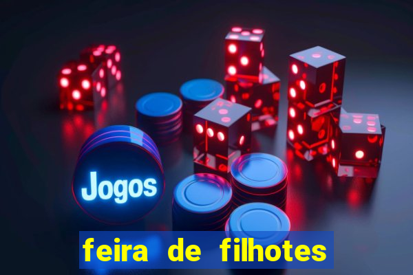 feira de filhotes porto alegre