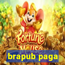 brapub paga