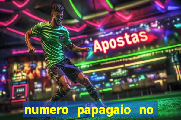 numero papagaio no jogo do bicho