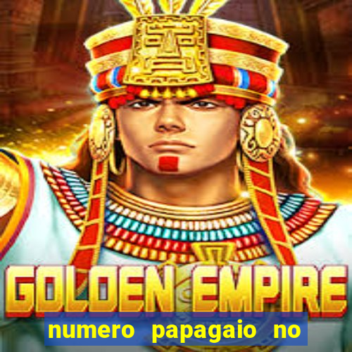 numero papagaio no jogo do bicho