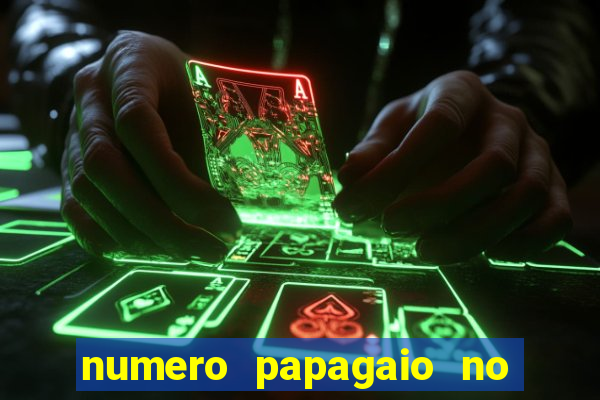 numero papagaio no jogo do bicho