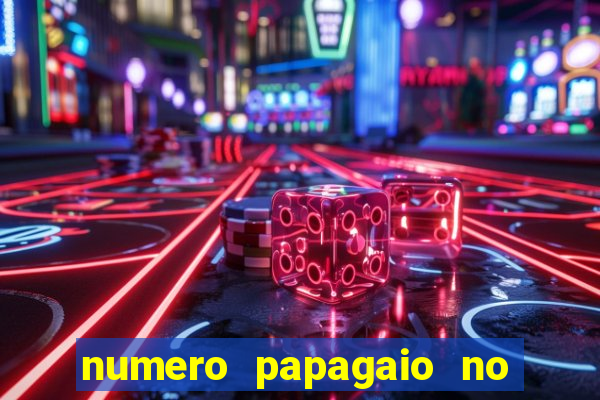 numero papagaio no jogo do bicho