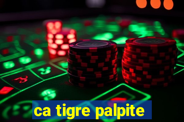 ca tigre palpite