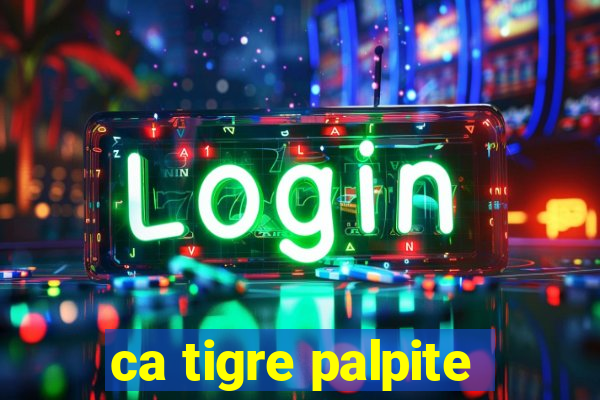 ca tigre palpite