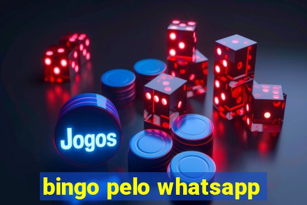 bingo pelo whatsapp